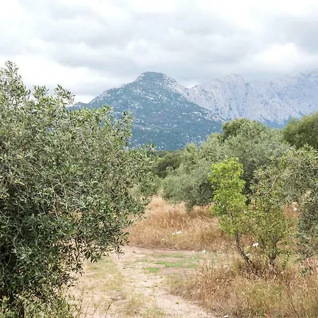 S'ulumu * Dorgali