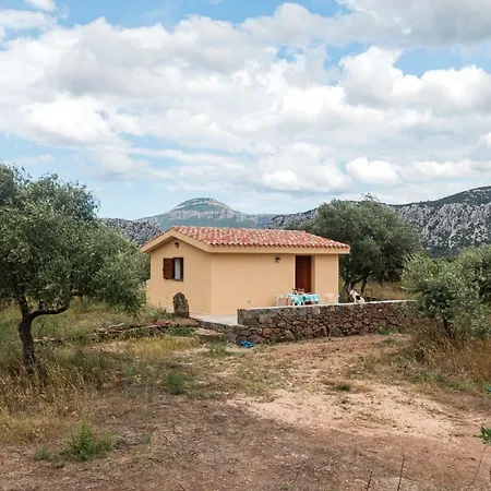 Kır Evi S'ulumu *