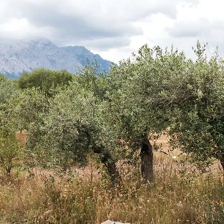 S'ulumu * Dorgali
