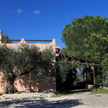 Kır Evi S'ulumu *
