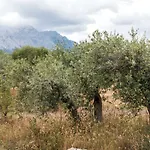 S'ulumu * דורגלי