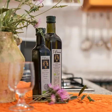 S'ulumu * 多尔加利