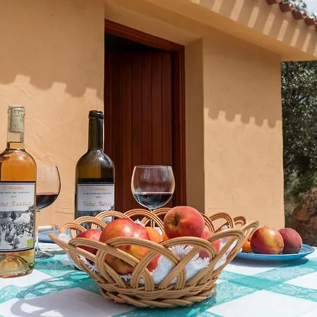 Séjour à la campagne S'ulumu Dorgali