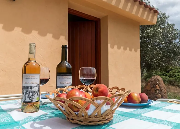 Gospodarstwo wiejskie S'ulumu Dorgali